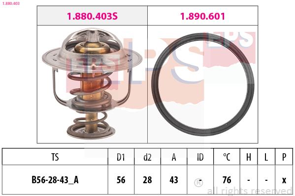 Termostat chladenia EXCLUSIVAS BCN SL